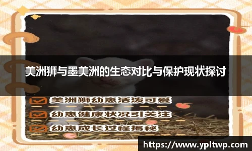 芒果体育官网